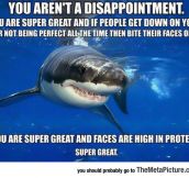 Friendly Self-Esteem Shark