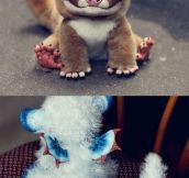 Realistic Fantasy Animal Dolls