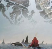 Canoeing With Orca Whales