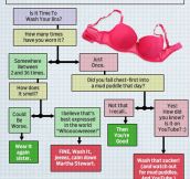 How Often Do You Need To Wash Your Bra?