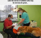 A Dentist Doing It Right