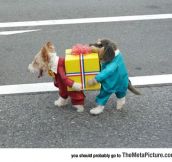 I Wish I Was A Dog Just So I Could Wear This Ridiculously Cool Costume