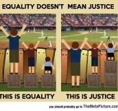 Difference Between Equality And Justice