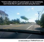 Giant Grasshopper Monster