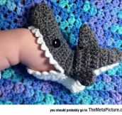 Little Shark Socks