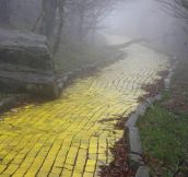 Now It’s A Creepy Yellow Brick Road