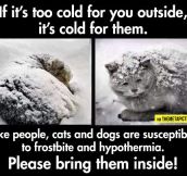 Something To Remember During The Cold Weather