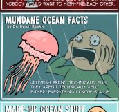 Crazy Ocean Facts You Probably Don’t Know