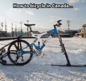 Bicycles In Canada