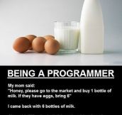 Being A Programmer
