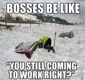 Bosses During The Harsh Winter