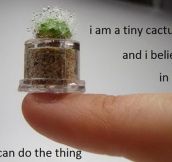 Tiny Inspirational Cactus