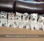 Puppy Printer