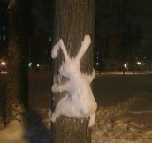 Follow The White Snow Rabbit