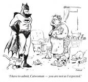 Batman Finds Catwoman