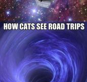 How Your Pets See Road Trips