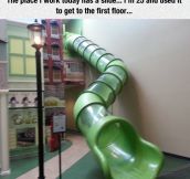 You’re Never Too Old For A Slide