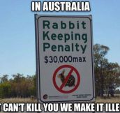 Australian Laws