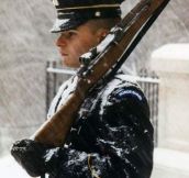 Guards At The Tomb Of The Unknown Soldier, Standing Fast During A Superstorm