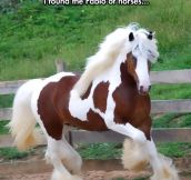 I Can’t Get Over How Fabulous This Horse Is