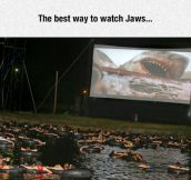 Best Way To Watch Jaws