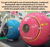 In Case Of Natural Disaster