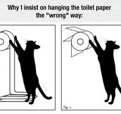 Toilet Paper When You Have A Cat