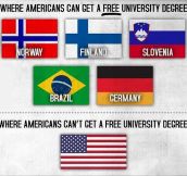 Free Degree