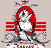 The New Canadian Flag Should Have This