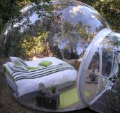 Would You Sleep In This Bubble Bed Surrounded By Nature?