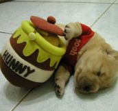 Pooh Is Sleepy