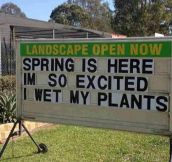 So Now That Spring Is Here