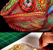 Incredibly Detailed Drawing Of A Chameleon