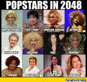 Pop Stars In 2048