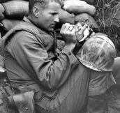 A sergeant looks after a 2-week-old kitten during the Korean War