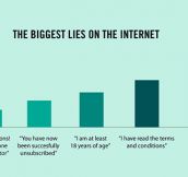 Biggest Lies On The Internet