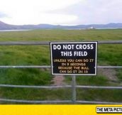 Meanwhile In Ireland, Challenge Accepted