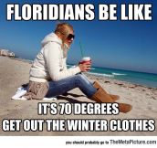 Floridian Winter