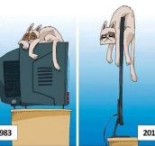 Cats Dislike Technological Advances