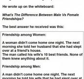 Male Vs Female Friendships. This Guy Nails It.
