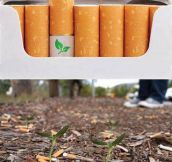Cigarette Filters With A Surprise