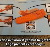 If You Like LEGO Bricks You Need This