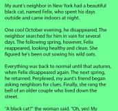 A Woman’s Cat Kept Disappearing At Certain Time. She Was In For A Surprise.