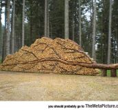 Nice Woodpile