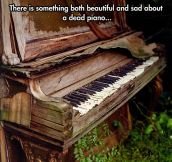Death Of A Piano