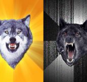 Return of the Wolfpack: Top 15 Courage and Insanity Wolf Memes