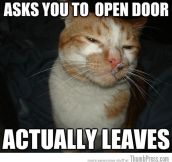 As Cool As It Gets: Awesome Cool Cat Craig Memes (16 PICS)