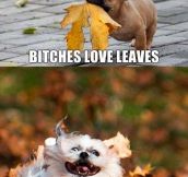 I’ll get her some leaves…