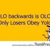 YOLO backwards