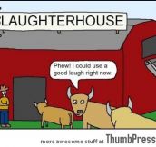 Laughter house
